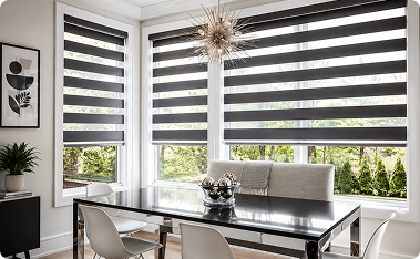 Zebra Blinds