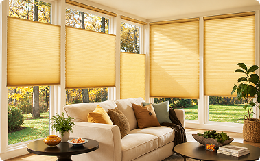 Honeycomb Blinds